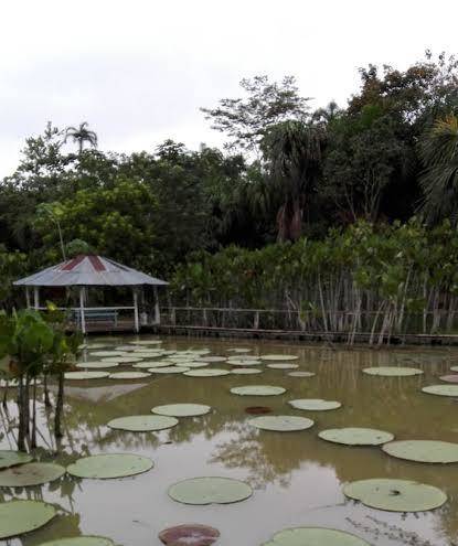 Amazon queen lodge