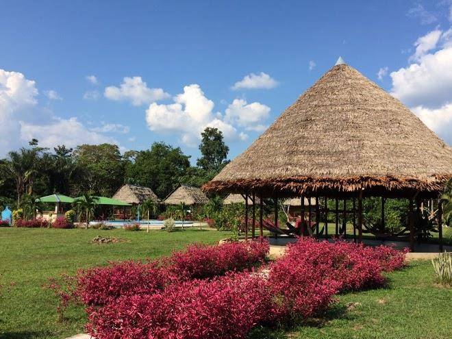 Cumaceba amazon experience