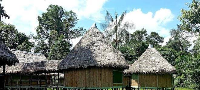 Cumaceba amazon lodge