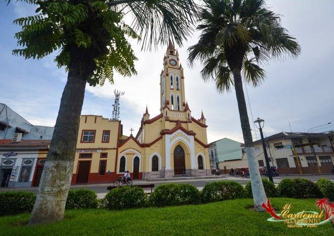 El cardenal alojamiento