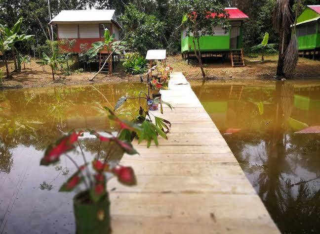 Friends of the amazon jungle