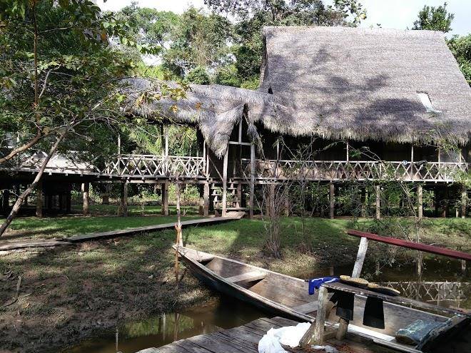 Jungle wolf expeditions