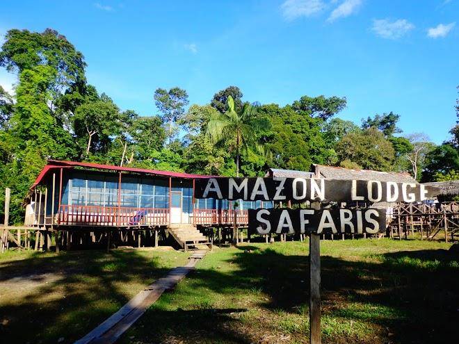Oficina amazon lodge & safaris