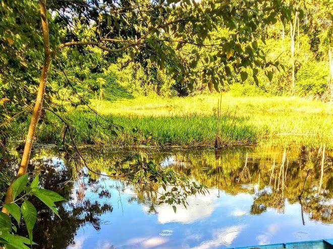 Amaru parque