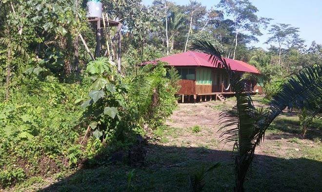 Amazon lodge tambopata