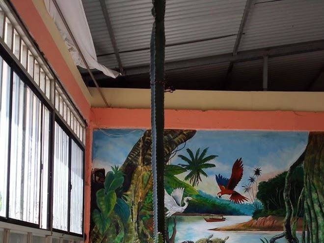 Hospedaje libelula