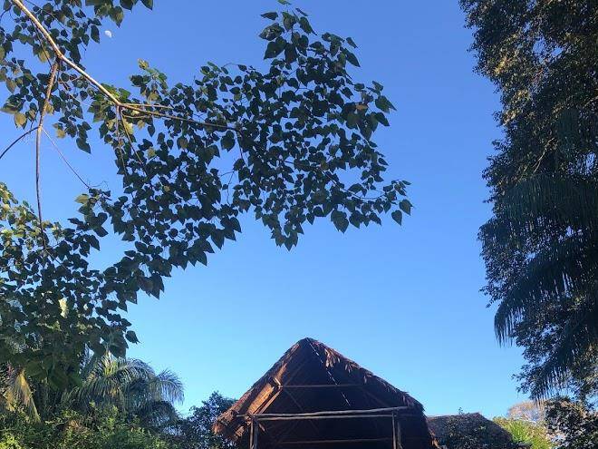 Wasai tambopata lodge