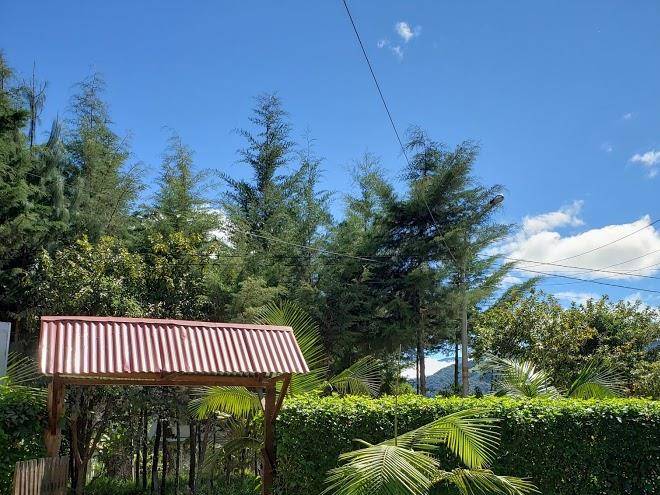 Restaurant hospedaje el bosque escondido