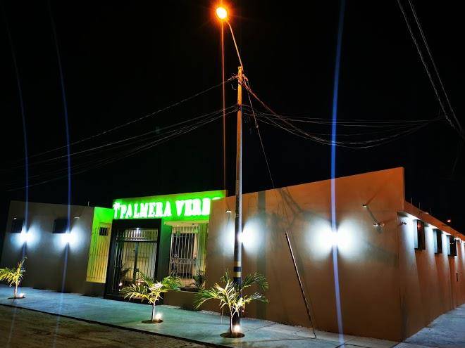 Palmera verde