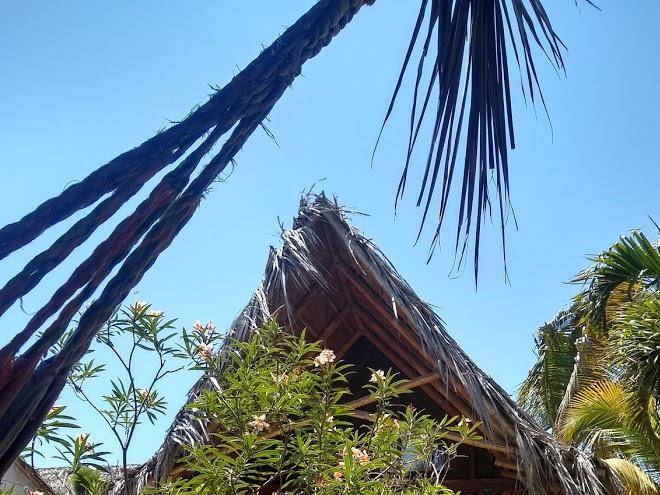 Brisas de vichayito
