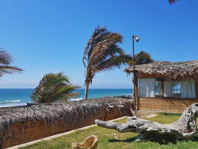 Hotel playa palmeras