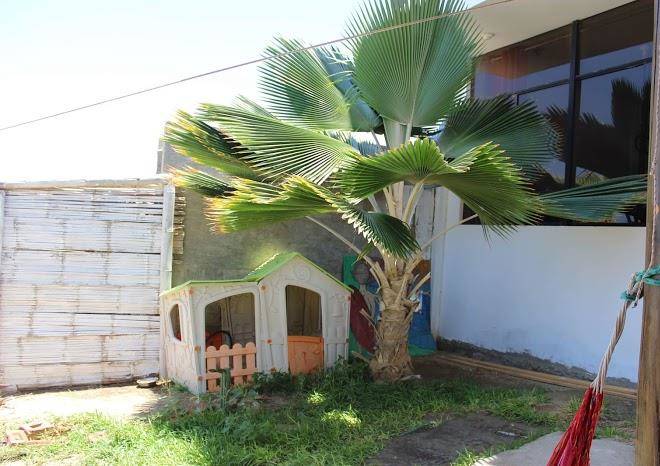 Lobitos surf paradise hotel