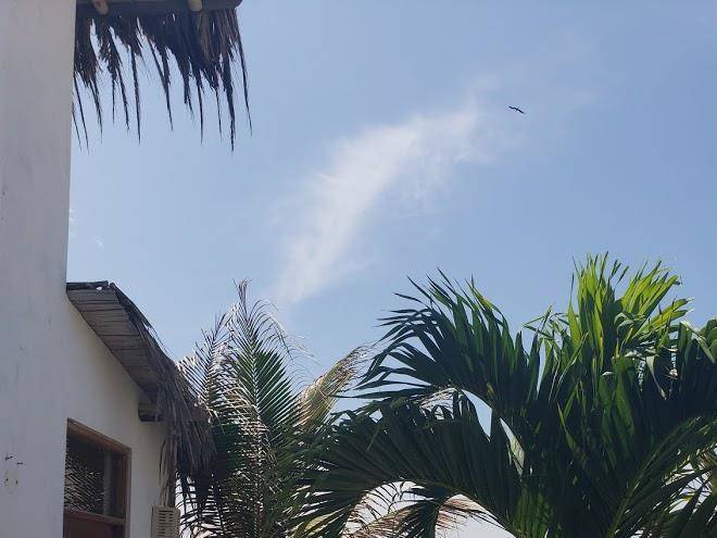Vichayito bungalow