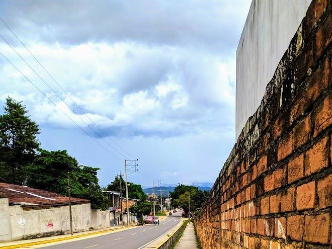 Sachahuasca