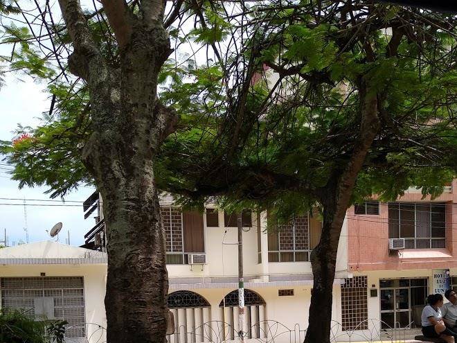 Hotel luz de luna