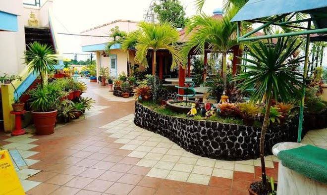Gardenia hotel