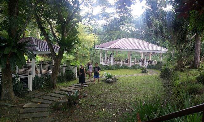 Pineapple island resort camarines norte