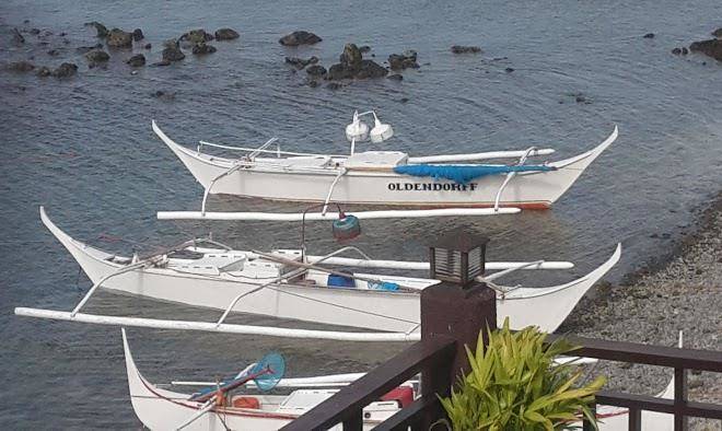 Crystal blue dive resort