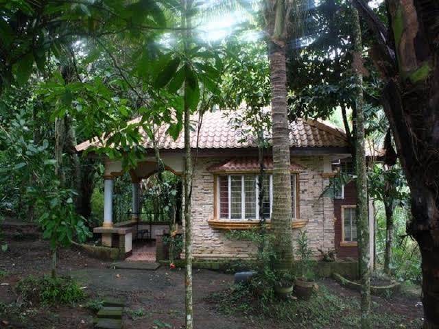 Endaya cove
