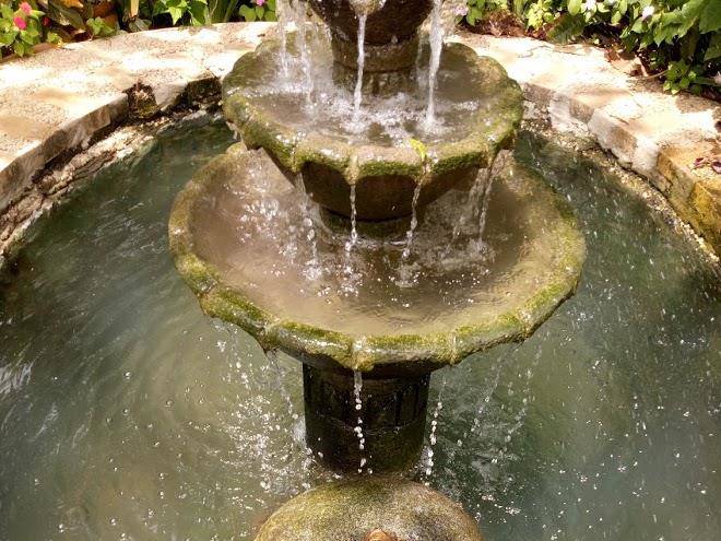 Sonya's Garden Image