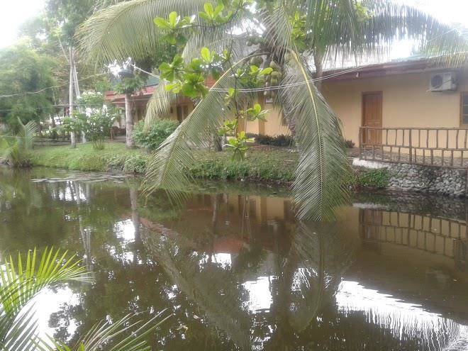 Mazaua Island Hotel And Resort Image