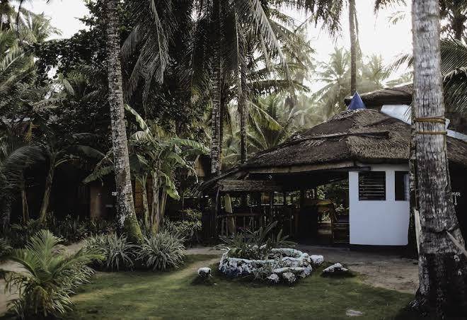 Bamboo garden bar & lodging