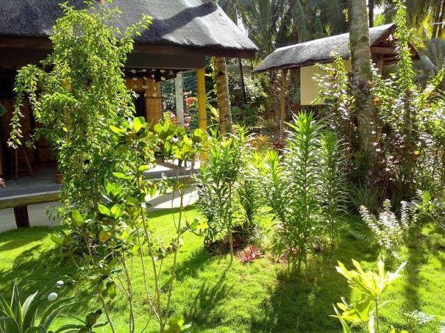 Eddie`s Beach Resort Siargao (eddie's Beach Resort Siargao) Image