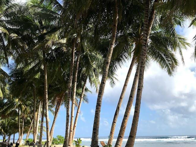 Pacifico bigwish beach resort