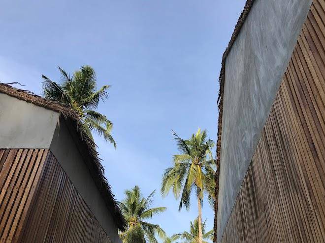 Surfing Temple Image