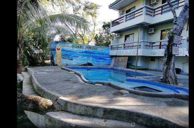 Nature Green Forest Resort Image