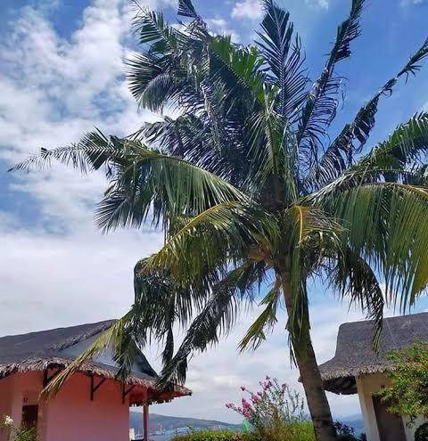 Grande island resort