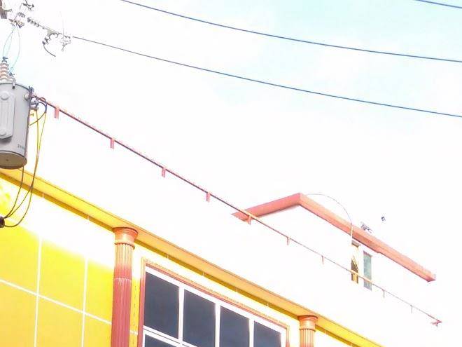 Hotel gogo