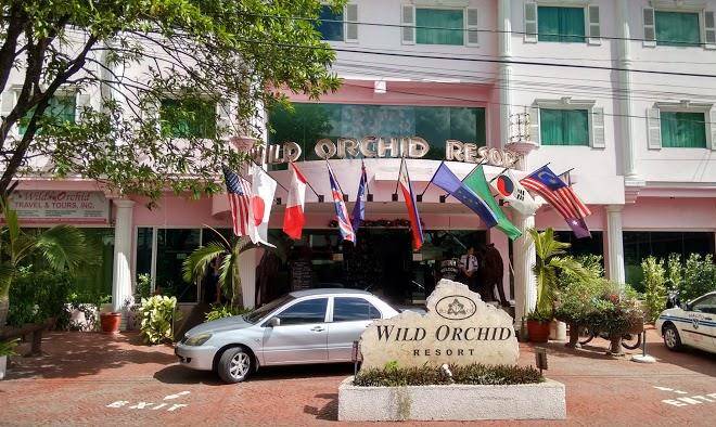Wild orchid