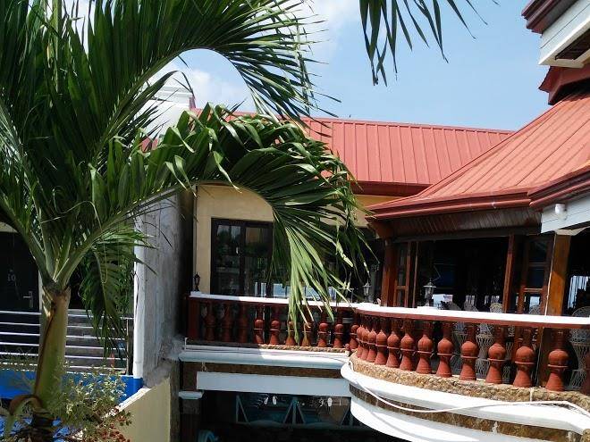 Palm tree resort