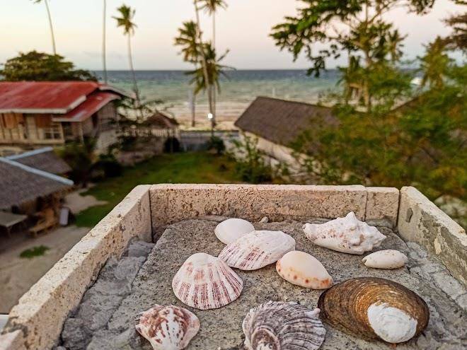 Homaja beach resort