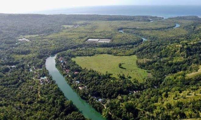 Loboc Cool River Resort Image