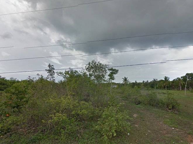 Seafari Resort Panglao Bohol Image