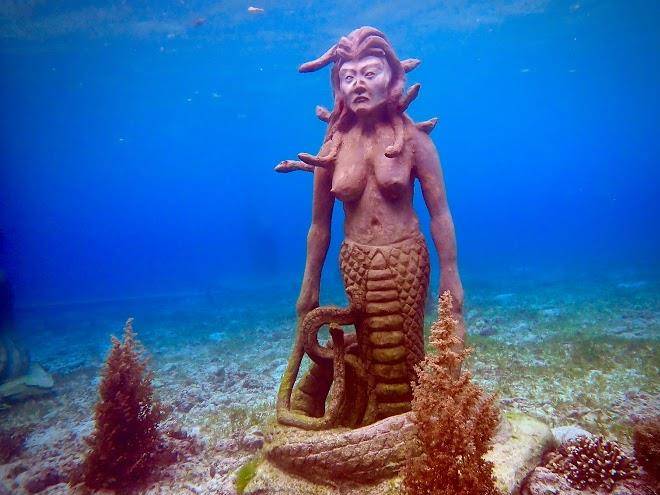 Alegria dive resort