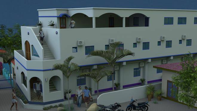 D` gecko hotel