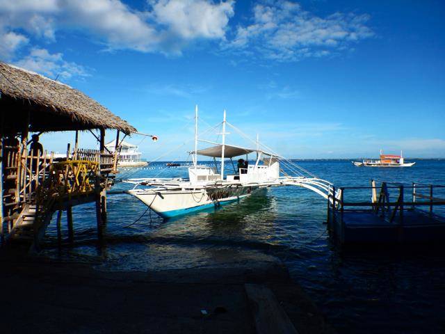 Kawayan Marine Mactan Image