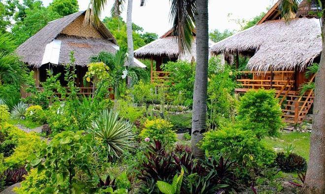 Mayas native garden