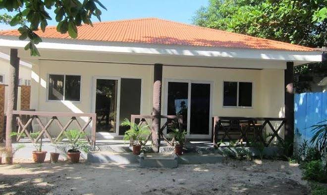 The shark's tail dive resort