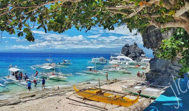 Apo island beach resort