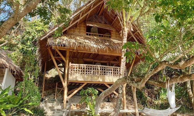 Kookoo's nest