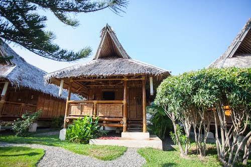 Pura vida beach & dive resort