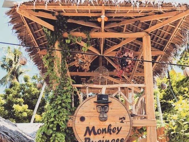 Monkey business