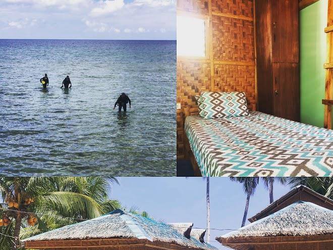 Pawikan eco dive resort