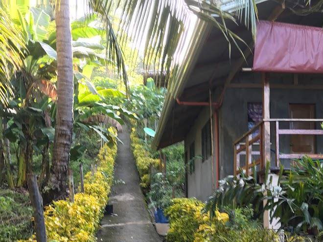 Hilltop eco resort in samal island