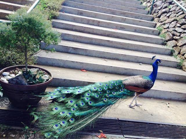 Eden nature park & resort