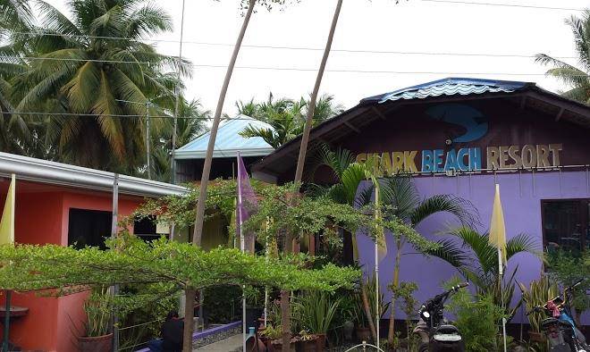 Shark beach resort